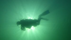 onderwaterfotografie